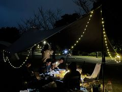 -贡湖湾湿地公园