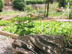 -柞水乾佑红门家菜