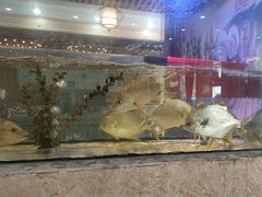 -巽寮印象美食部落餐厅·海鲜·地方特色菜(惠州体验店)