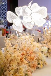 -Sunny喜铺婚礼定制·求婚策划
