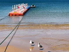 -海驴岛(荣成市)