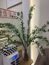 -MIDA蜜哒•科技逆龄美肤连锁