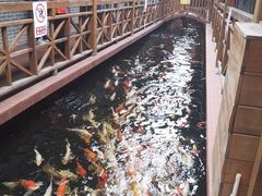 -侠成水上农庄(工业大道店)