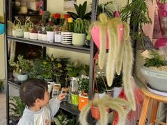 -溪岸路花鸟市场