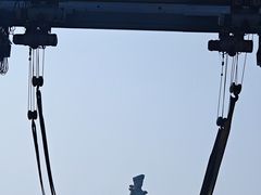 -中华人民共和国水准零点