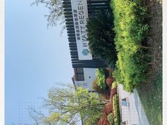 -上海崇明金茂凯悦酒店