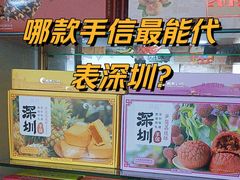 -鹏城八珍深圳特产手信(罗湖店)