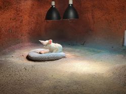 -酷嗒动物文化乐园(cutezoo西溪乐天城店)