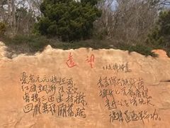 -棒棰岛宾馆景区