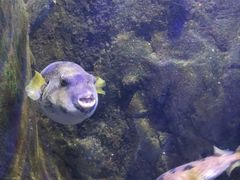 -太平洋海底世界