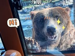 -北京野生动物园