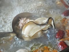 -濠轩阁特色生蚝火锅(水湾路店)