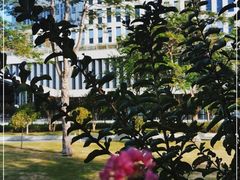 -深圳市人才园(深南大道店)