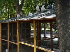 -青岛鑫江温德姆酒店