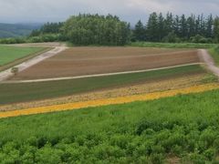 -富田农场