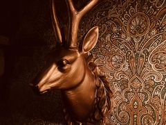 -秃鹫湾·推理大师沉浸式实景演绎推理剧场