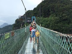 -梦幻奥陶纪景区