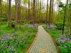 -东方明珠老上海8号餐厅(东方明珠广播电视塔店)