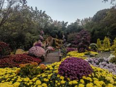 -杭州植物园