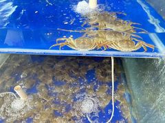 -阳澄湖大闸蟹·琼灵阁牌品牌连锁(吴中总店)