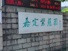 -嘉定紫藤园