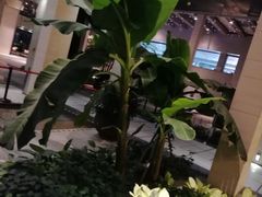 -仁恒美食庭苑(仁恒海河广场店)