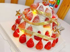 -青奢宠物·青奢猫舍