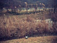 -石塘人家