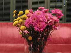 -OOAK设计师品牌概念店(新乐路店)