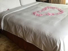 -上海新发展亚太JW万豪酒店
