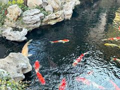 -鲤院·新中式美学·庭院餐厅(夫子庙店)