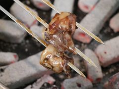 -袁家水泊水浒烤肉(白金店)