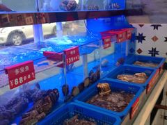 -小龍鳳·港式海鲜打边炉(沙湖路店)
