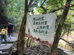 -广州白江湖森林公园