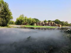 -微山湖红荷湿地景区
