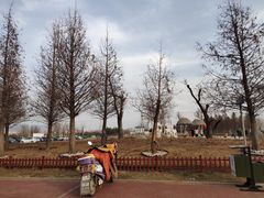 -羊亭河湿地公园