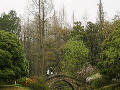 -杭州植物园