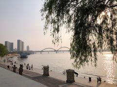 -滨州铁路桥