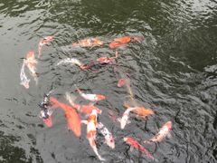 -杭州西湖柳莺里酒店