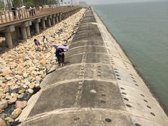 -东疆建设开发纪念公园