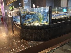 -喜庭海鲜自助(北辰三角洲北辰荟店)