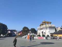 -上海东林寺(金山区)