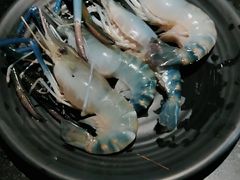 -Kingkong Buffet(The Mercury ville)