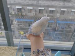 -怪兽屋·羊驼·猫咖·狗咖(俊华广场店)