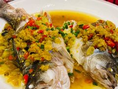 -老傅家湘潭水煮活鱼店(众一国际店)