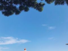 -阳光海岸露营公园