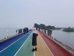 -贡湖湾湿地公园