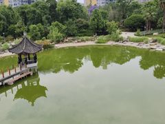 -云南荟·湖畔领宴(领事馆店)
