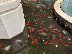 -碧中海汤泉汗蒸酒店