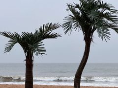 -日照灯塔风景区